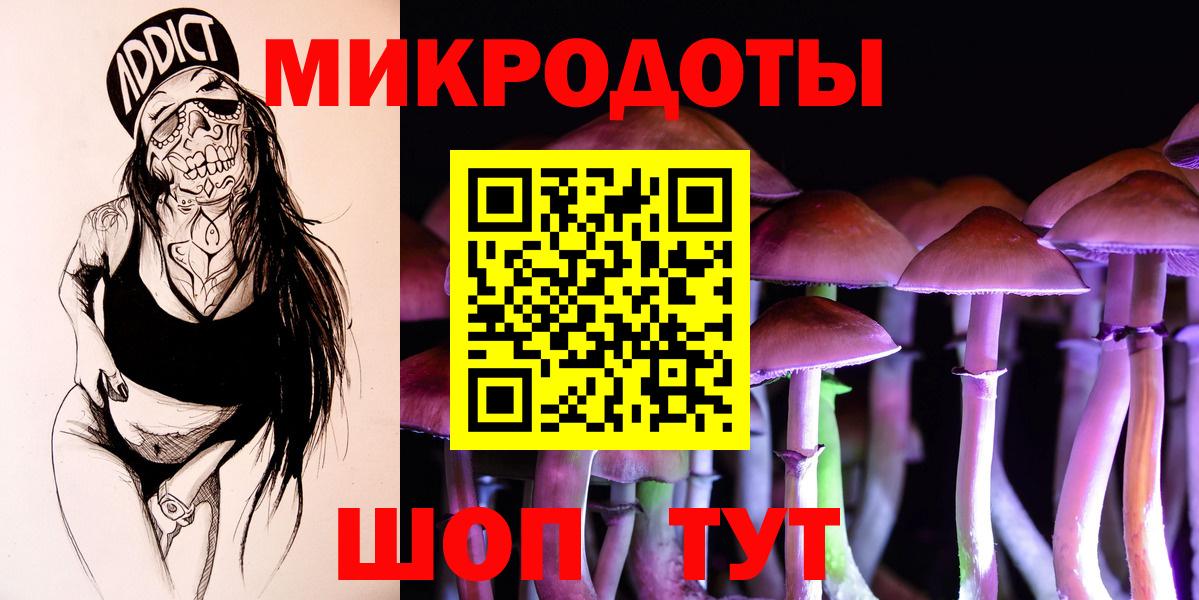 купить закладку  Вход с VPN  Алатырь  Псилоцибиновые грибы Cubensis  Псилоцибиновые грибы Cubensis 