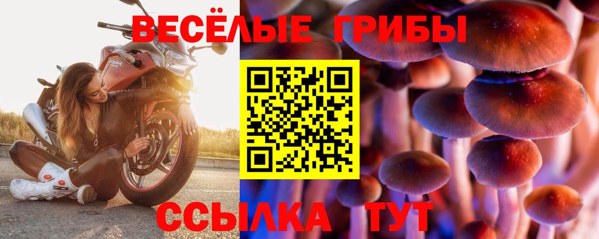 Псилоцибиновые грибы MAGIC MUSHROOMS Алатырь